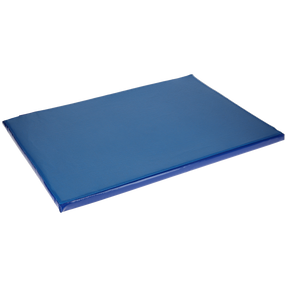 Disinfection mat 85x60x3.5 cm