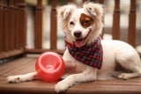 Outward Hound Orbee-Tuff Snoop Red S
