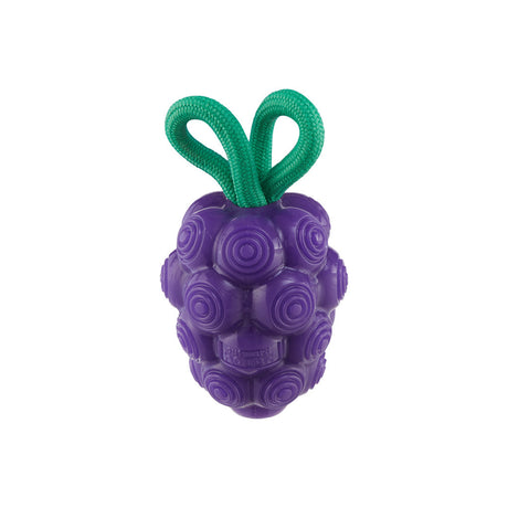 Outward Hound Dental Grapes