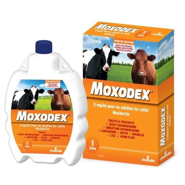 Moxodex mg/m Pour on soution for catte
