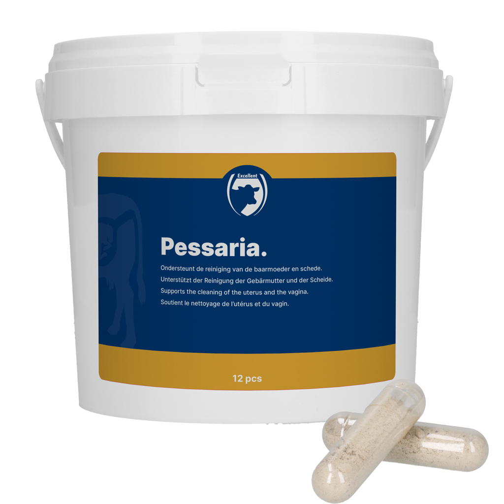 Excellent Pessaria Capsules