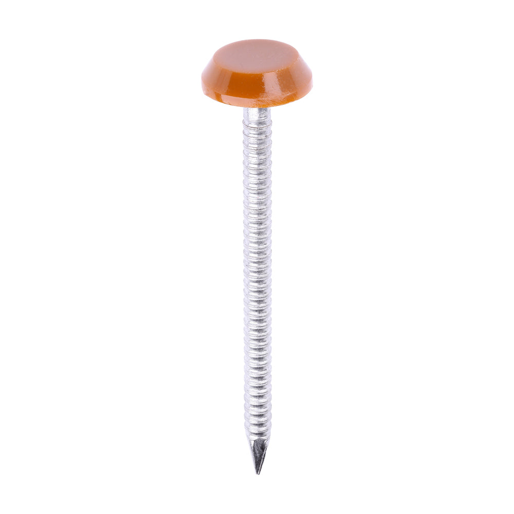Timco Polymer Headed Nails