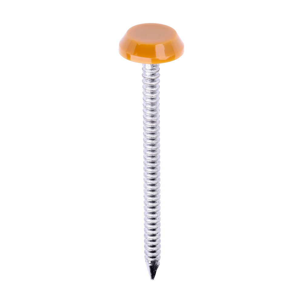 Timco Polymer Headed Nails