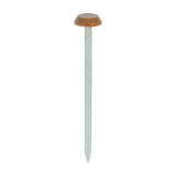 Timco Polymer Headed Nails