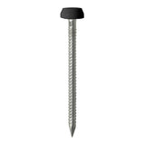 Timco Polymer Headed Pins