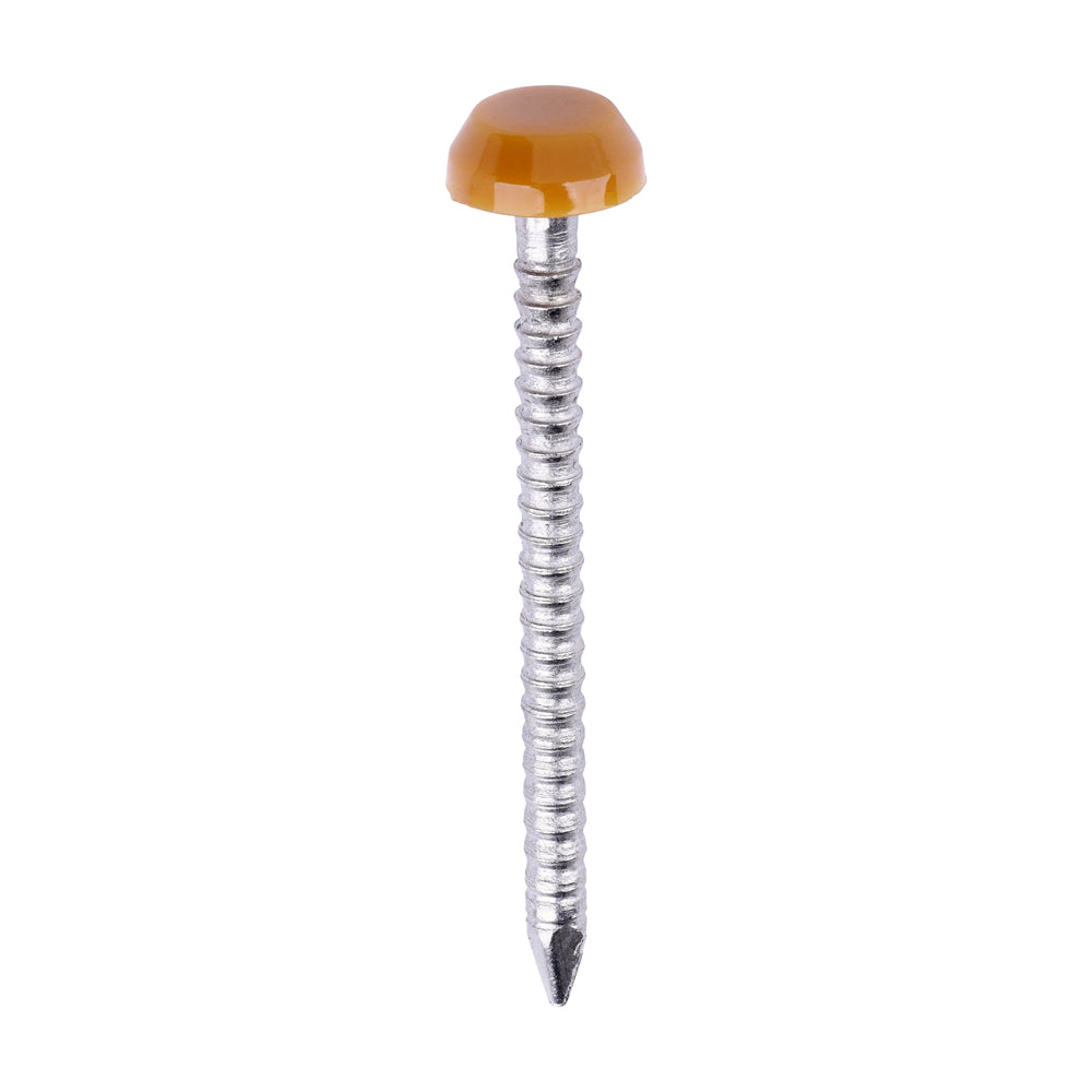 Timco Polymer Headed Pins