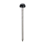 Timco Polymer Headed Pins