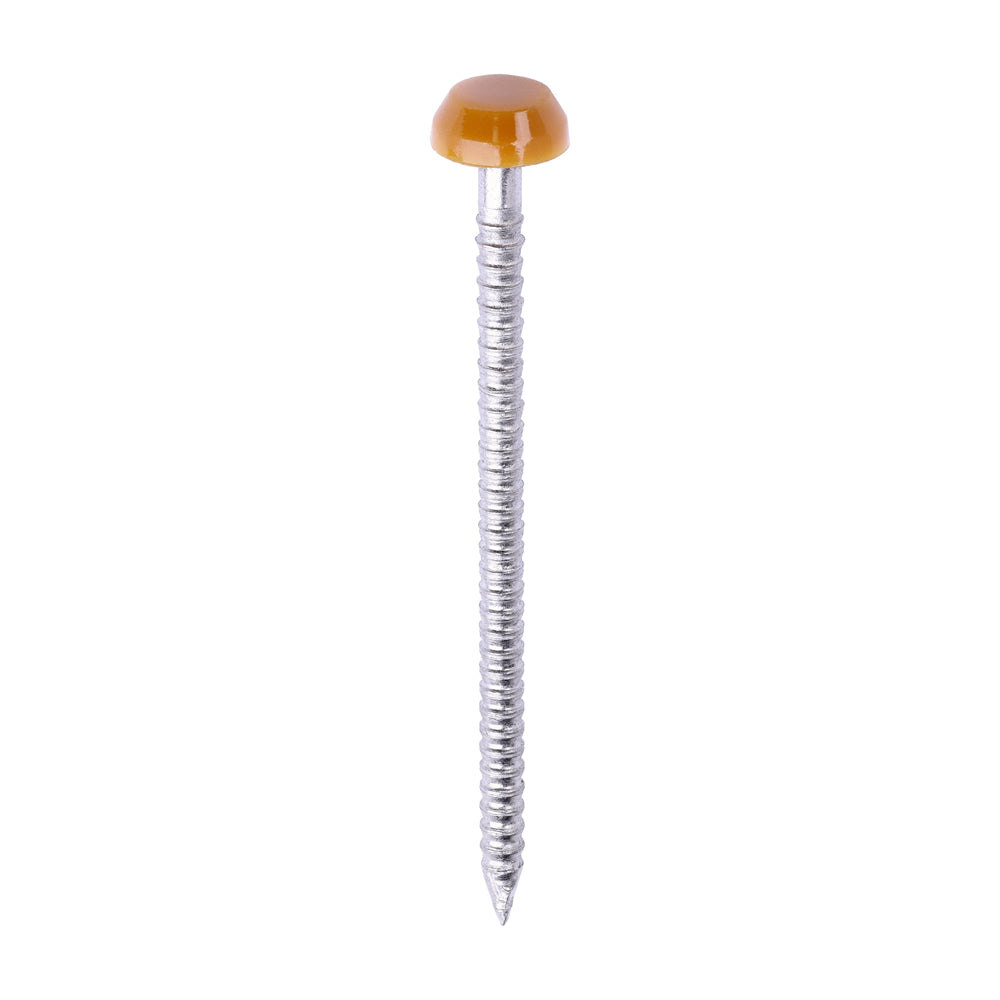 Timco Polymer Headed Pins