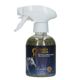Paardenpraat TV Glitter Glamour Spray