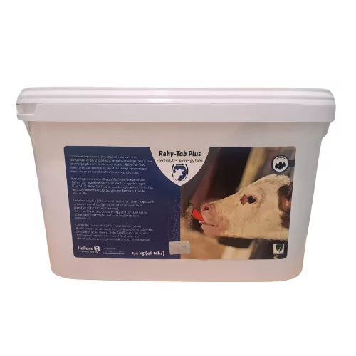 Rehy-Tab Plus Tablets