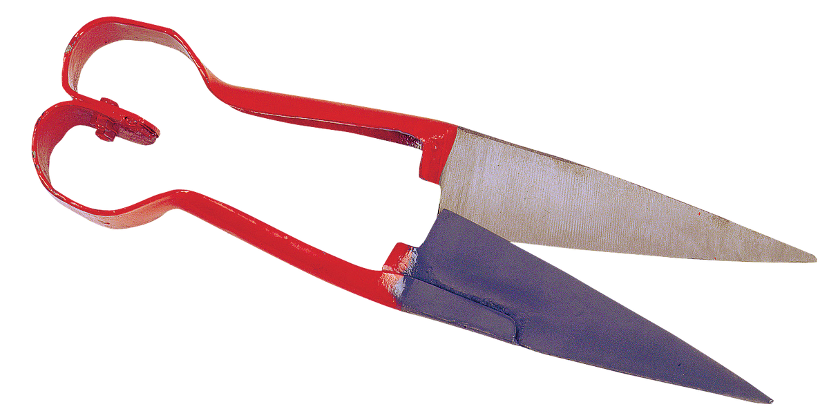 Sheep wool shear heart model