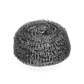 Stainless Steel Scourer 40 g
