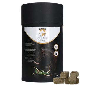 Excellent Horse Sweet Blocks Eucalyptus