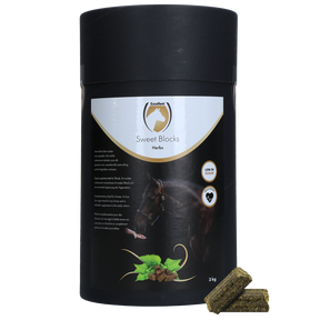 Excellent Horse Sweet Blocks Herbs