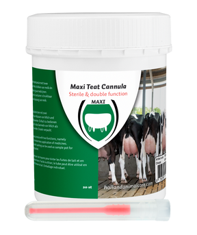 Excellent Maxi Teat Cannula 55 mm