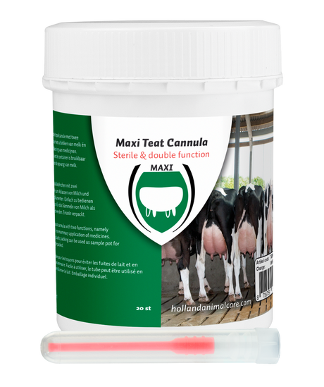Excellent Maxi Teat Cannula 55 mm
