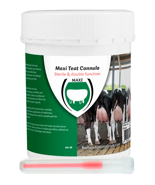Excellent Maxi Teat Cannula 55 mm (20)