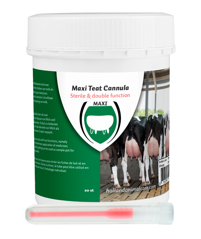 Excellent Maxi Teat Cannula 55 mm