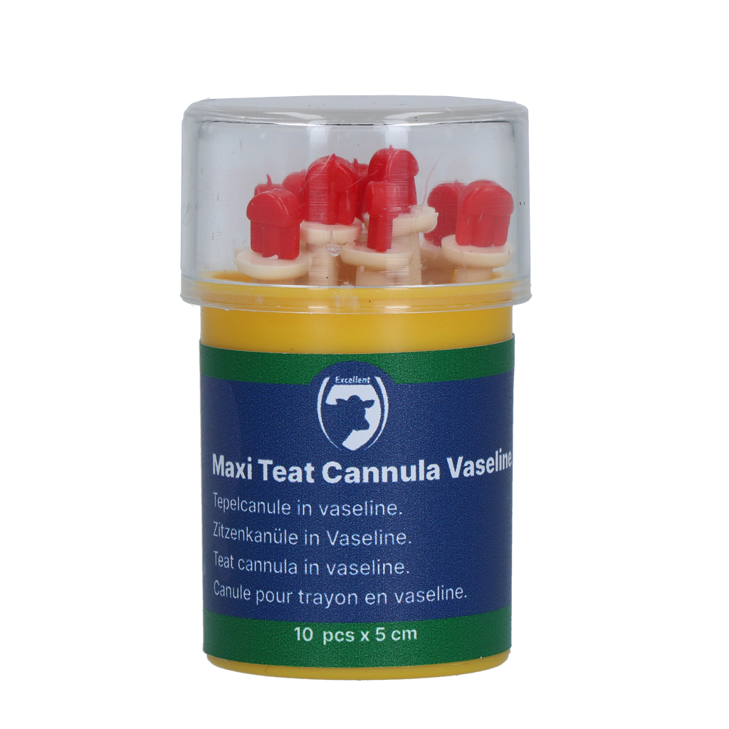 Excellent Maxi Teat Cannula
