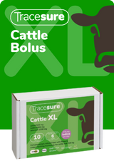 Tracesure Cattle XL with Copper 10's