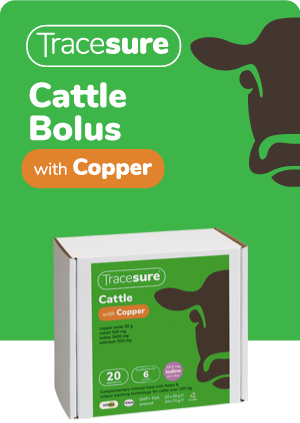 Allsure Cattle bolus
