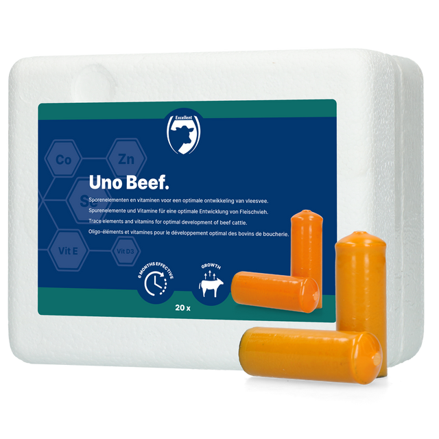 Excellent Uno Beef