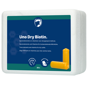 Excellent Uno Dry Biotin