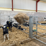 Saddle Hayrack (Wall mounted)