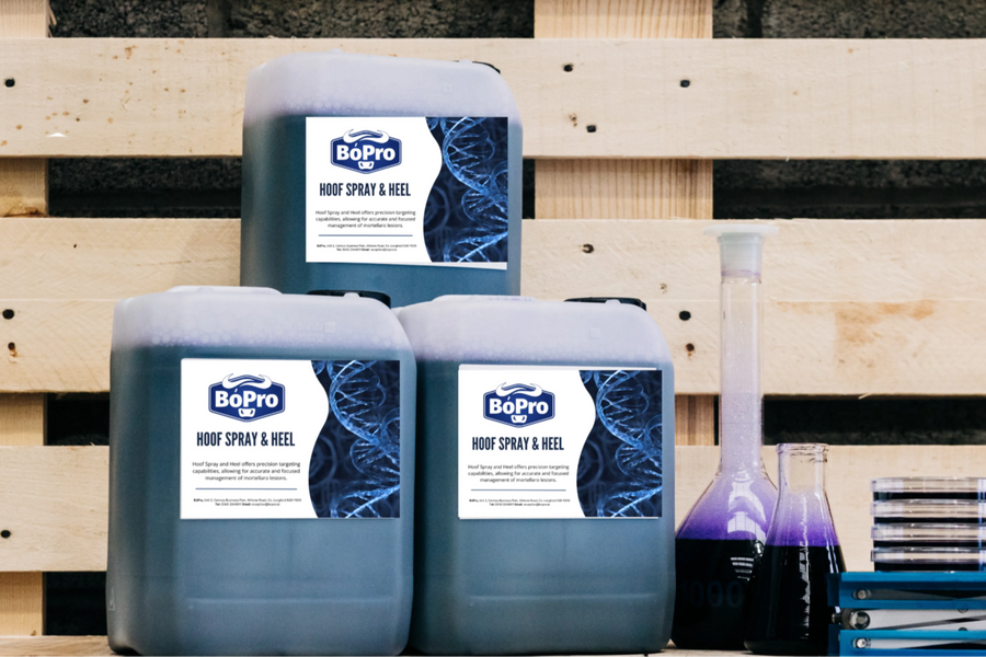 Hoof Spray & Heel