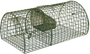 Wire Cage Rat Trap Alive Massa