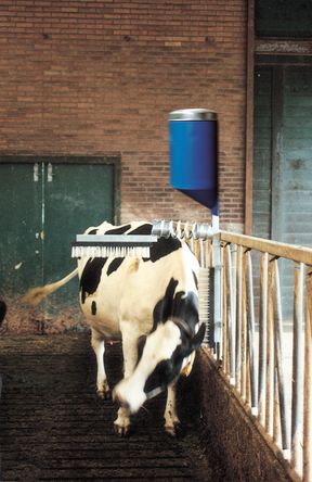 Vink Cow Brush Complete with Skincare