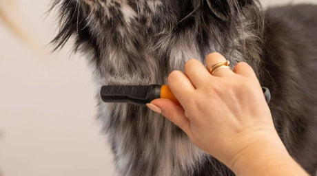 Wahl Dematter Detangling Comb for Dogs