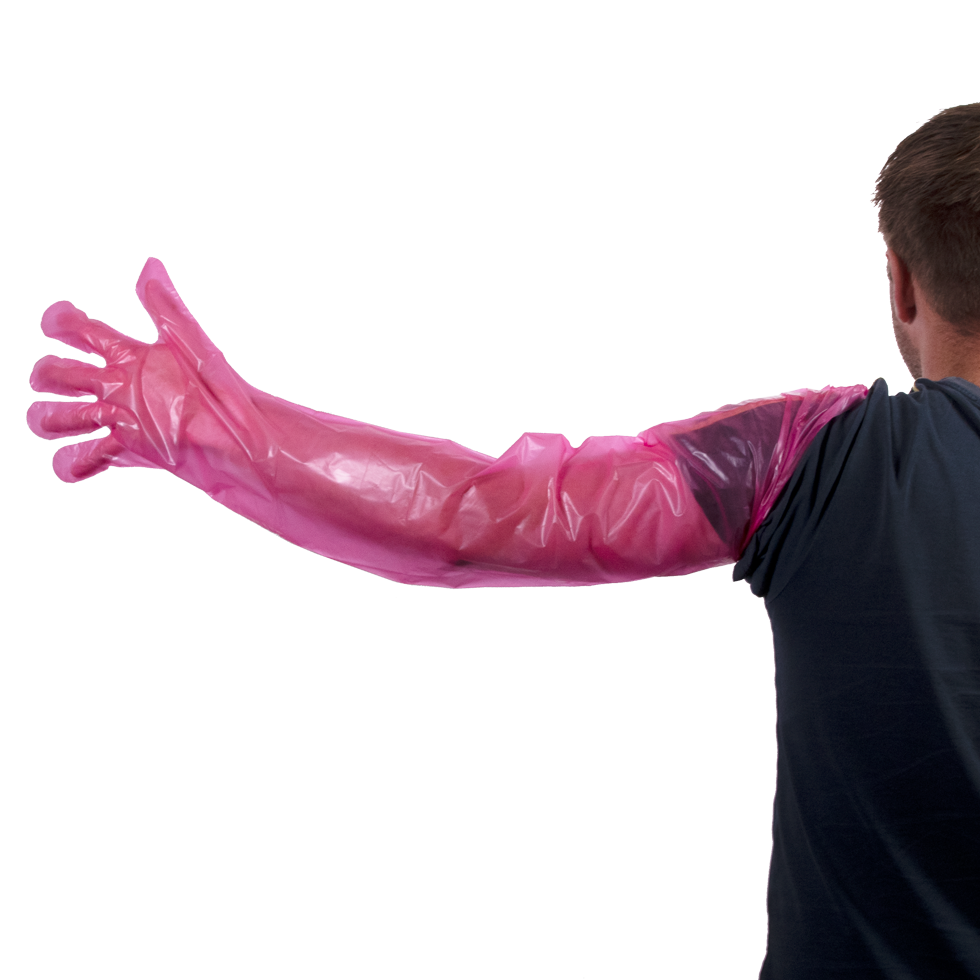 Disposable Vet Gloves