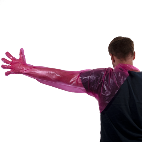 Disposable Shoulder Gloves (50)
