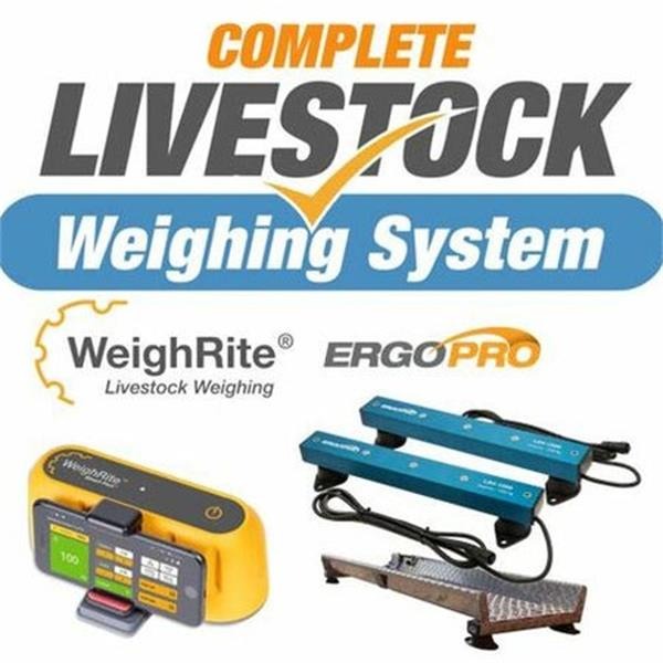 ErgoPro WeighRite Complete Kit Connect to your PHONE – Country Farm ...