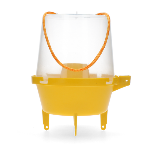 Wasp Trap Classic