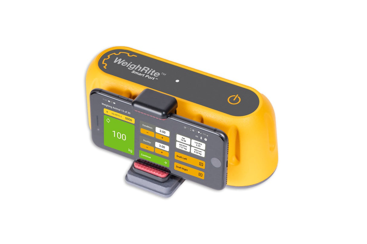 ErgoPro WeighRite Complete Kit Connect to your PHONE