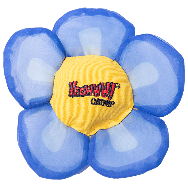Yeowww! Daisy's Flower Tops