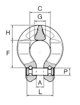 Omega Shackle