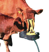 LA BUVETTE Membrane Pasture Pump aquamat N.C. for Nursing Cows