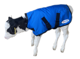Calf Comfort Jacket LARGE