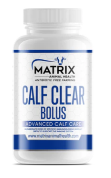 Matrix Calf Clear