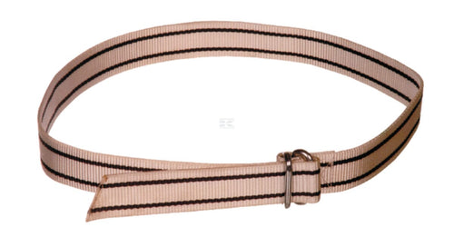 Nylon collar