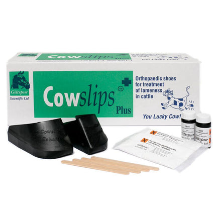Cowslips 10 Pack (Mixed)
