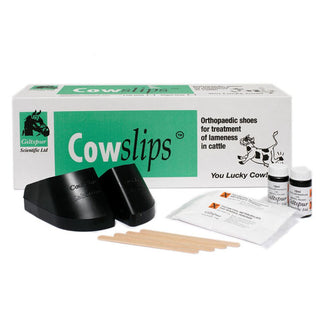 Cowslips 10 Pack (Mixed)