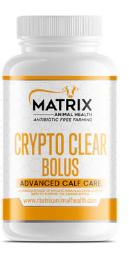 Matrix Crypto Clear