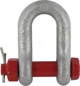 McBULL D-Shackle D