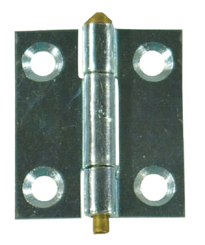 Small Hinge