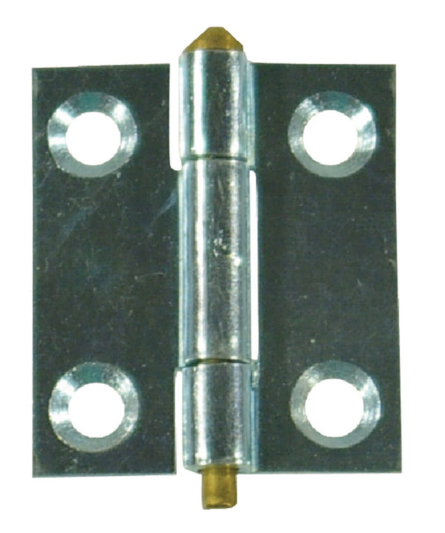 Small Hinge