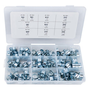 Jefferson 100pc Mini Hose Clip Assortment